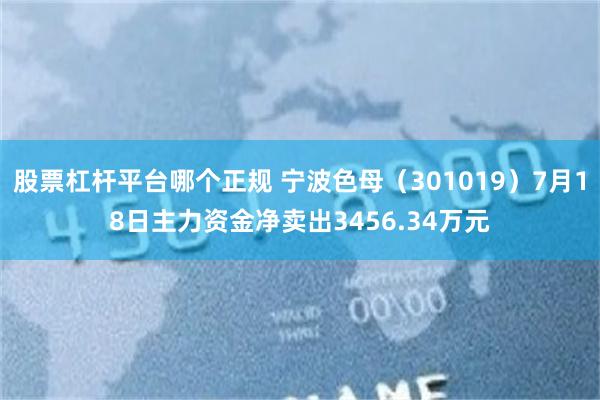 股票杠杆平台哪个正规 宁波色母（301019）7月18日主力资金净卖出3456.34万元