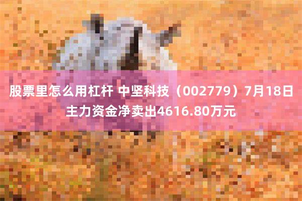 股票里怎么用杠杆 中坚科技（002779）7月18日主力资金净卖出4616.80万元