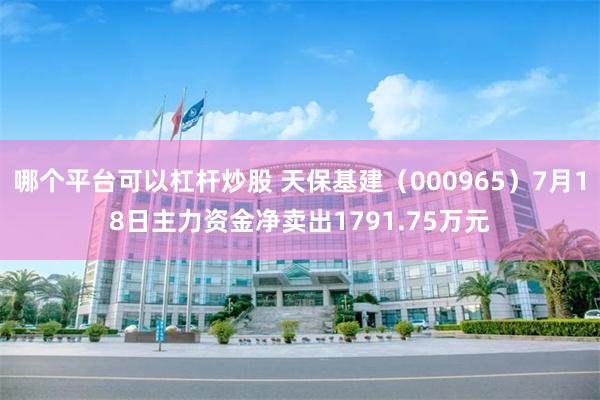 哪个平台可以杠杆炒股 天保基建（000965）7月18日主力资金净卖出1791.75万元