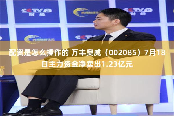 配资是怎么操作的 万丰奥威（002085）7月18日主力资金净卖出1.23亿元