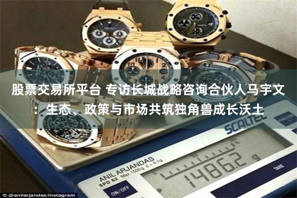 股票交易所平台 专访长城战略咨询合伙人马宇文：生态、政策与市场共筑独角兽成长沃土