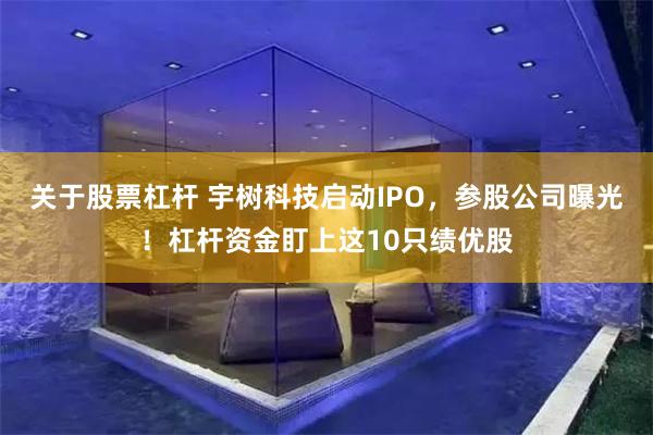 关于股票杠杆 宇树科技启动IPO，参股公司曝光！杠杆资金盯上这10只绩优股