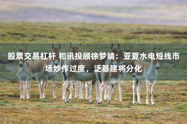 股票交易杠杆 和讯投顾徐梦婧：亚夏水电短线市场炒作过度，泛基建将分化