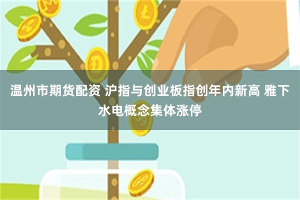 温州市期货配资 沪指与创业板指创年内新高 雅下水电概念集体涨停