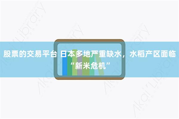 股票的交易平台 日本多地严重缺水，水稻产区面临“新米危机”