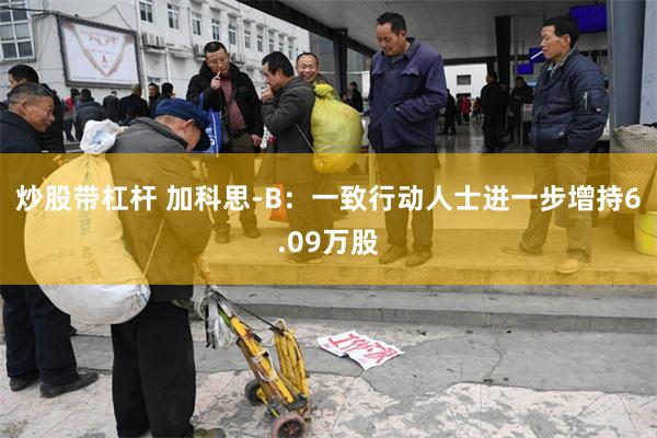 炒股带杠杆 加科思-B：一致行动人士进一步增持6.09万股