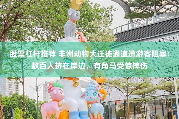 股票杠杆推荐 非洲动物大迁徙通道遭游客阻塞：数百人挤在岸边，有角马受惊摔伤