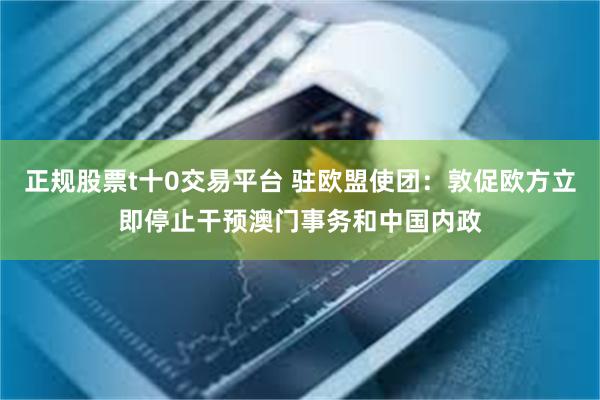 正规股票t十0交易平台 驻欧盟使团：敦促欧方立即停止干预澳门事务和中国内政