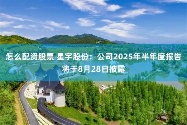 怎么配资股票 星宇股份：公司2025年半年度报告将于8月28日披露