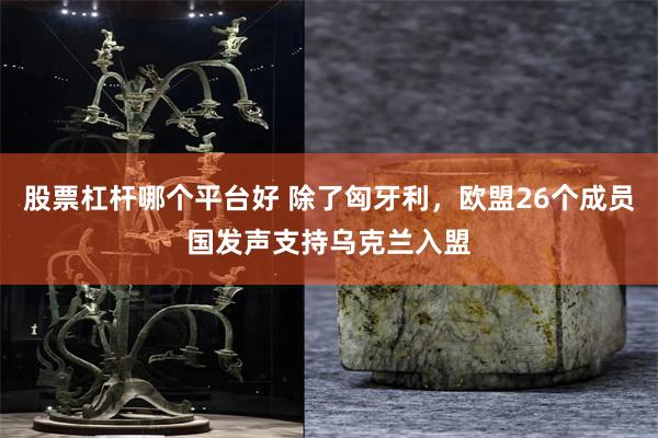 股票杠杆哪个平台好 除了匈牙利，欧盟26个成员国发声支持乌克兰入盟