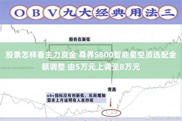 股票怎样看主力资金 尊界S800智能星空顶选配金额调整 由5万元上调至8万元