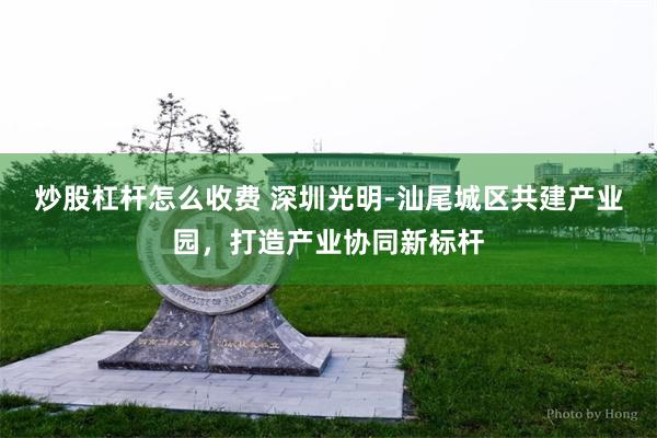 炒股杠杆怎么收费 深圳光明-汕尾城区共建产业园，打造产业协同新标杆