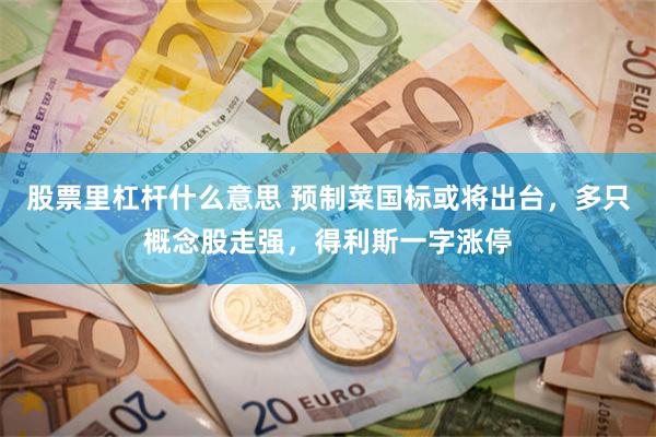 股票里杠杆什么意思 预制菜国标或将出台，多只概念股走强，得利斯一字涨停