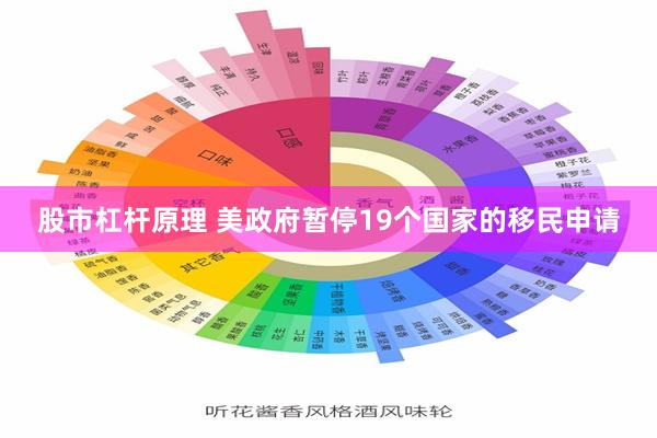 股市杠杆原理 美政府暂停19个国家的移民申请