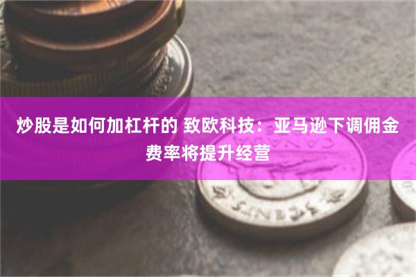 炒股是如何加杠杆的 致欧科技：亚马逊下调佣金费率将提升经营