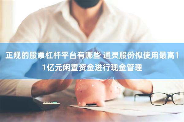 正规的股票杠杆平台有哪些 通灵股份拟使用最高11亿元闲置资金进行现金管理