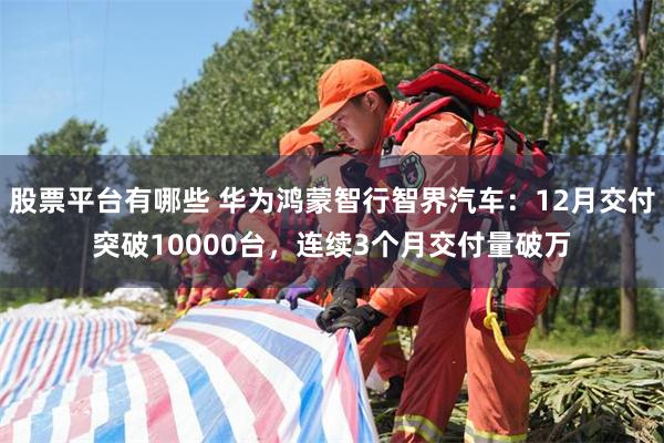 股票平台有哪些 华为鸿蒙智行智界汽车：12月交付突破10000台，连续3个月交付量破万