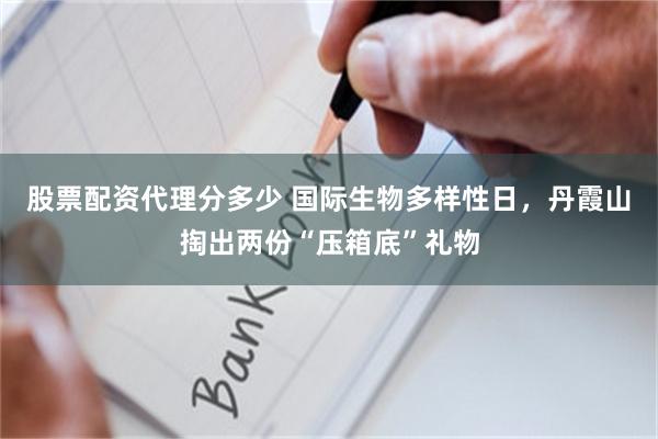 股票配资代理分多少 国际生物多样性日，丹霞山掏出两份“压箱底”礼物