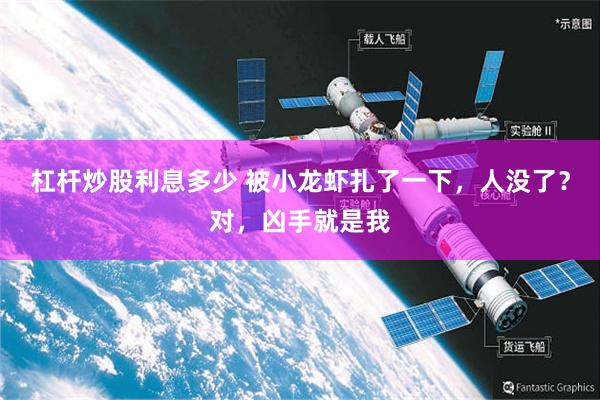 杠杆炒股利息多少 被小龙虾扎了一下,人没了?对,凶手就是我