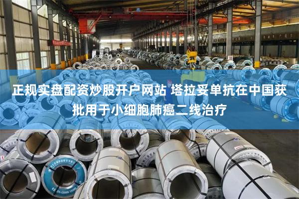 正规实盘配资炒股开户网站 塔拉妥单抗在中国获批用于小细胞肺癌二线治疗