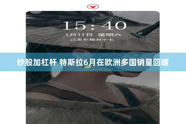 炒股加杠杆 特斯拉6月在欧洲多国销量回暖