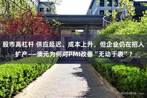 股市高杠杆 供应延迟、成本上升,但企业仍在招人扩产——澳元为何对PMI改善“无动于衷”?