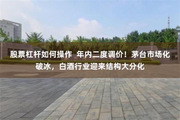 股票杠杆如何操作  年内二度调价！茅台市场化破冰，白酒行业迎来结构大分化