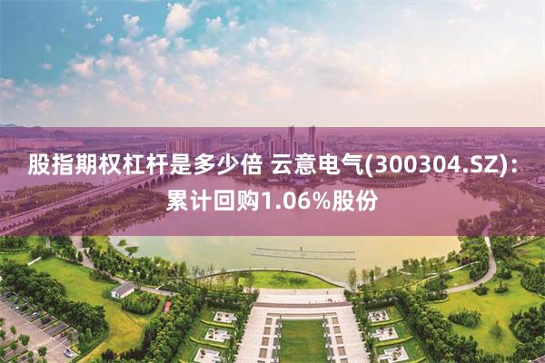 股指期权杠杆是多少倍 云意电气(300304.SZ)：累计回购1.06%股份