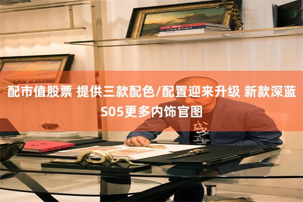 配市值股票 提供三款配色/配置迎来升级 新款深蓝S05更多内饰官图