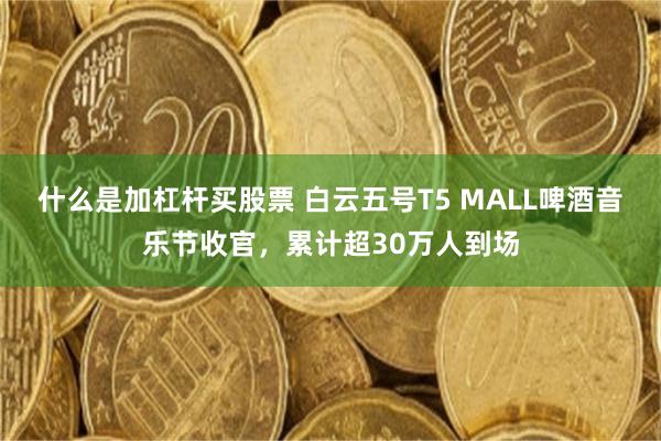 什么是加杠杆买股票 白云五号T5 MALL啤酒音乐节收官,累计超30万人到场