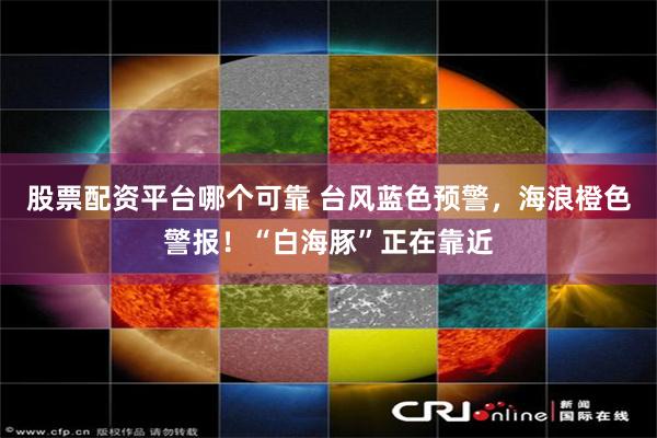 股票配资平台哪个可靠 台风蓝色预警，海浪橙色警报！“白海豚”正在靠近
