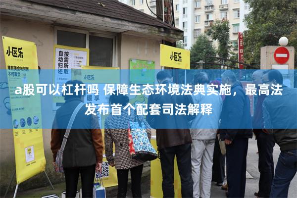 a股可以杠杆吗 保障生态环境法典实施，最高法发布首个配套司法解释