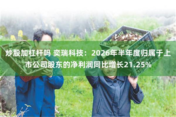 炒股加杠杆吗 奕瑞科技：2026年半年度归属于上市公司股东的净利润同比增长21.25%