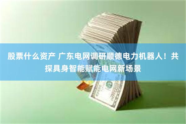 股票什么资产 广东电网调研顺德电力机器人！共探具身智能赋能电网新场景