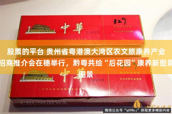 股票的平台 贵州省粤港澳大湾区农文旅康养产业招商推介会在穗举行，黔粤共绘“后花园”康养新图景