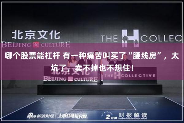 哪个股票能杠杆 有一种痛苦叫买了“腰线房”，太坑了，卖不掉也不想住！