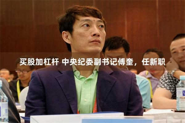 买股加杠杆 中央纪委副书记傅奎，任新职
