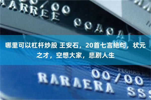 哪里可以杠杆炒股 王安石，20首七言绝句，状元之才，空想大家，悲剧人生