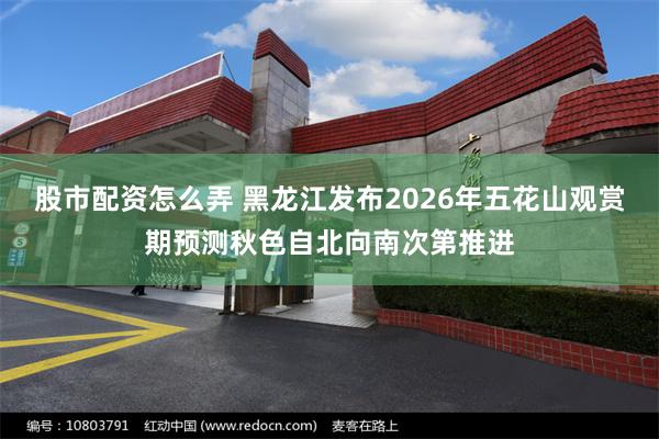 股市配资怎么弄 黑龙江发布2026年五花山观赏期预测秋色自北向南次第推进