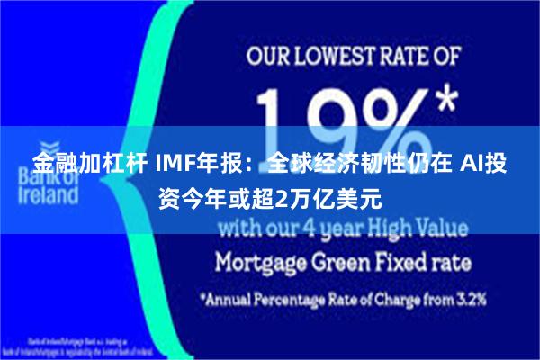 金融加杠杆 IMF年报：全球经济韧性仍在 AI投资今年或超2万亿美元