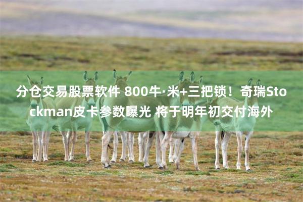 分仓交易股票软件 800牛·米+三把锁！奇瑞Stockman皮卡参数曝光 将于明年初交付海外