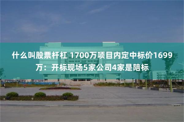 什么叫股票杆杠 1700万项目内定中标价1699万：开标现场5家公司4家是陪标