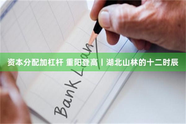 资本分配加杠杆 重阳登高丨湖北山林的十二时辰