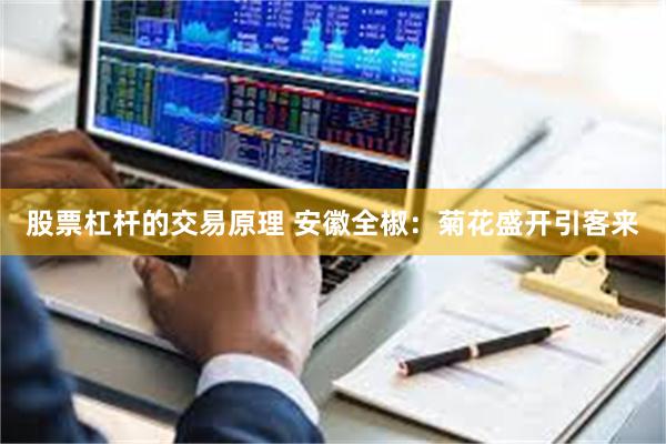 股票杠杆的交易原理 安徽全椒：菊花盛开引客来